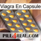 Viagra Capsule cialis2